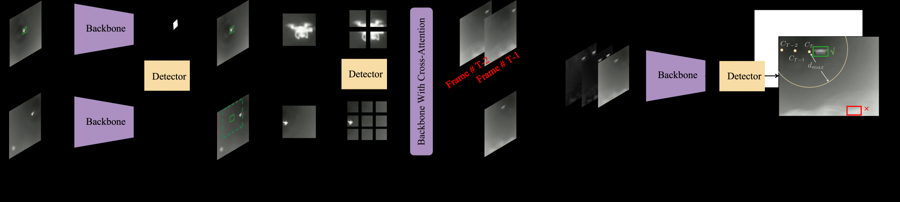 Detector and frame dynamics framework for anti-UAV tracking